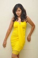 Anupoorva Spicy Gallery